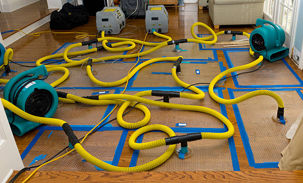 Professional Basement Flood Cleanup technician working in North Bend, NE